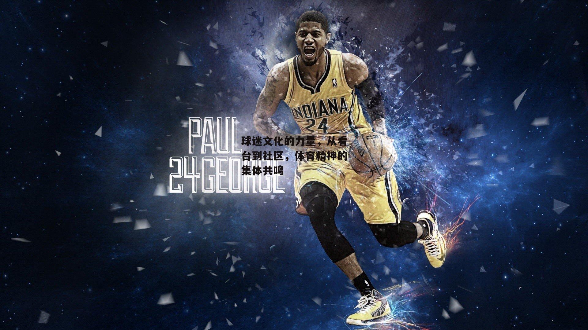 球迷文化的力量,从看台到社区,体育精神的集体共鸣