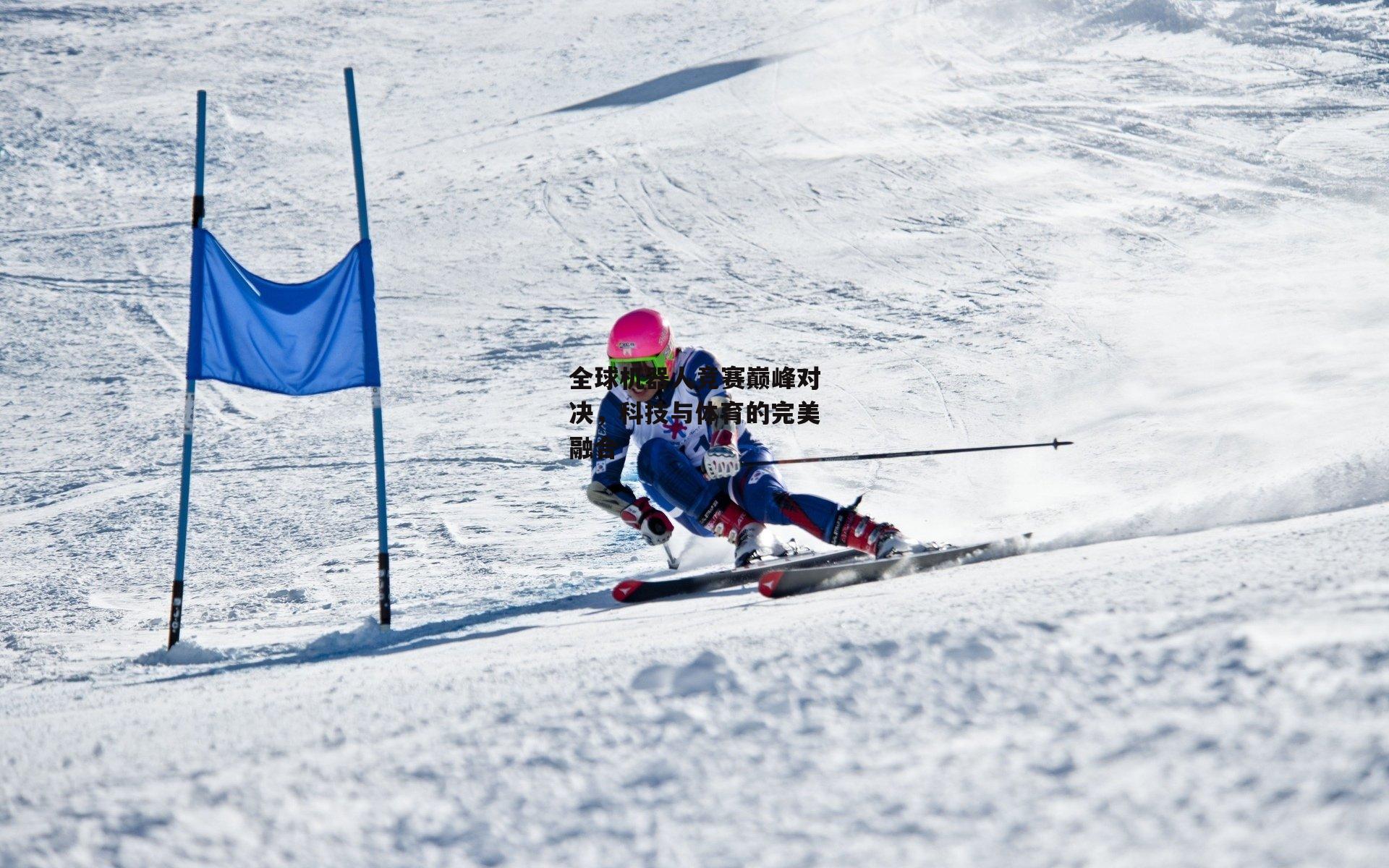 全球机器人竞赛巅峰对决，科技与体育的完美融合